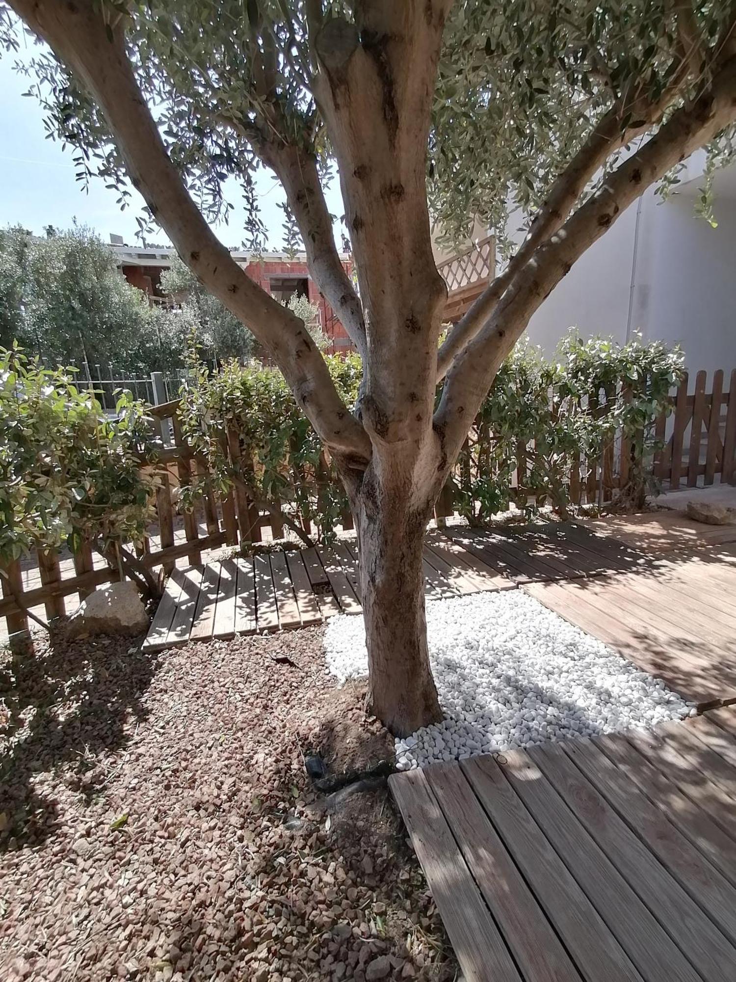 Sardamare Apartments Appartamenti La Ciaccia Valledoria Szoba fotó